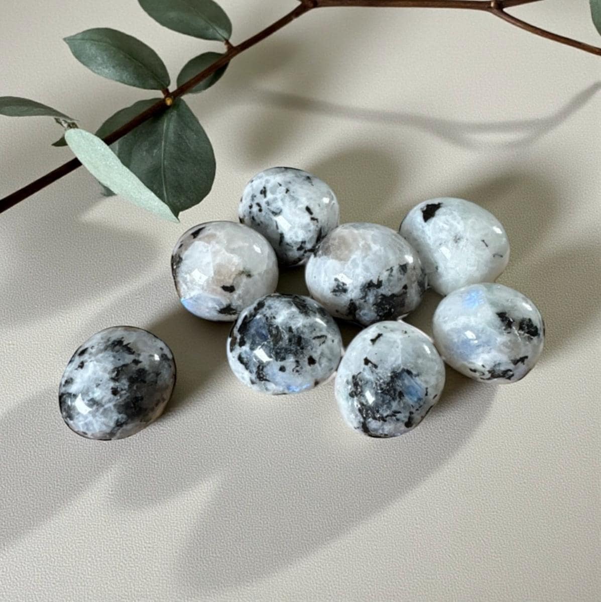 Rainbow Moonstone Tumble Stone – Divine Feminine Energy & Intuition | Luna by Louise, Crystal Shop UK