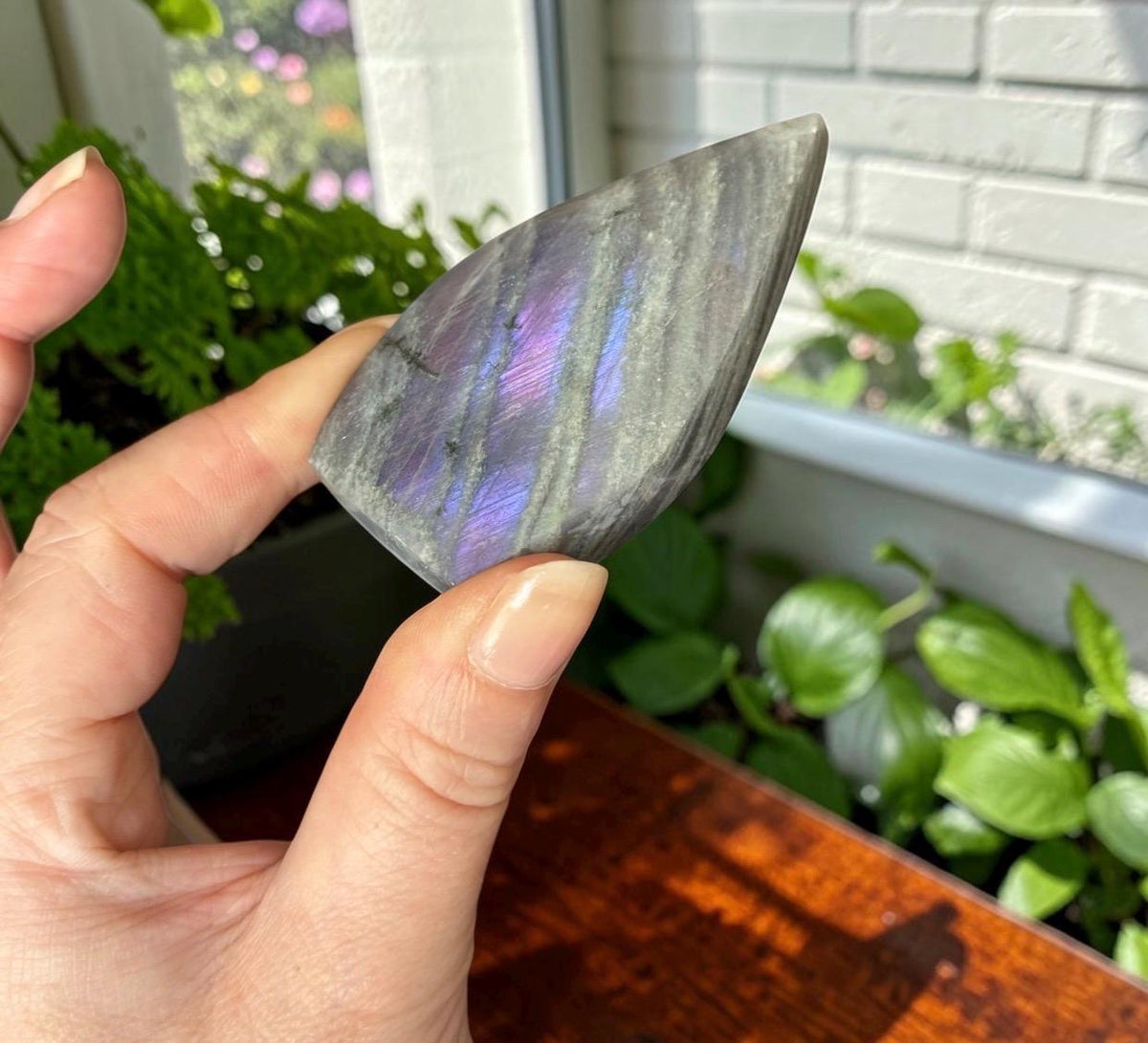 Polished Sunset Labradorite Crystal Flame : Pink, Purple, Gold Flash