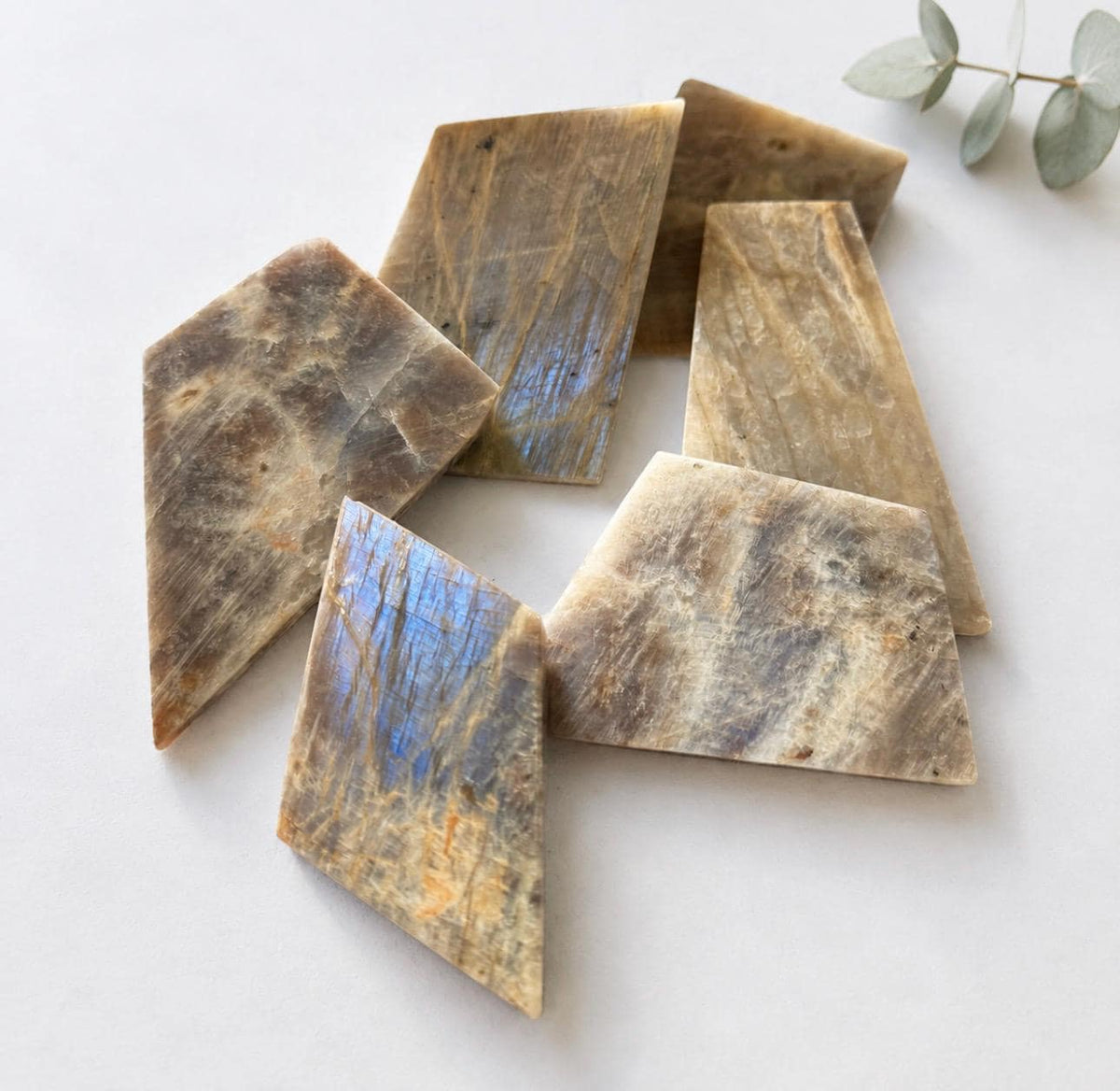 Flashy Moonstone Cut & Polished Crystal Slab – Blue Flash | Intuition, New Beginnings and Moon Energy