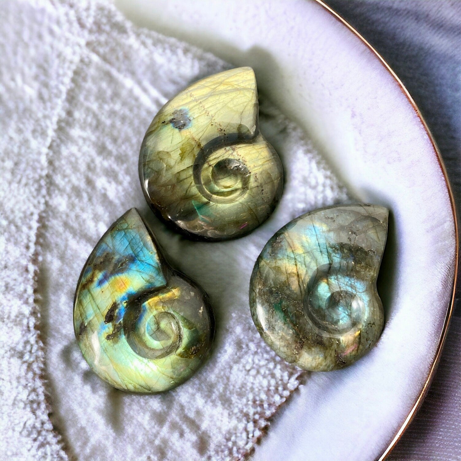 Labradorite Iridescent Fossil Ammonite Carving | Luna by Louise, Crystal Shop UK