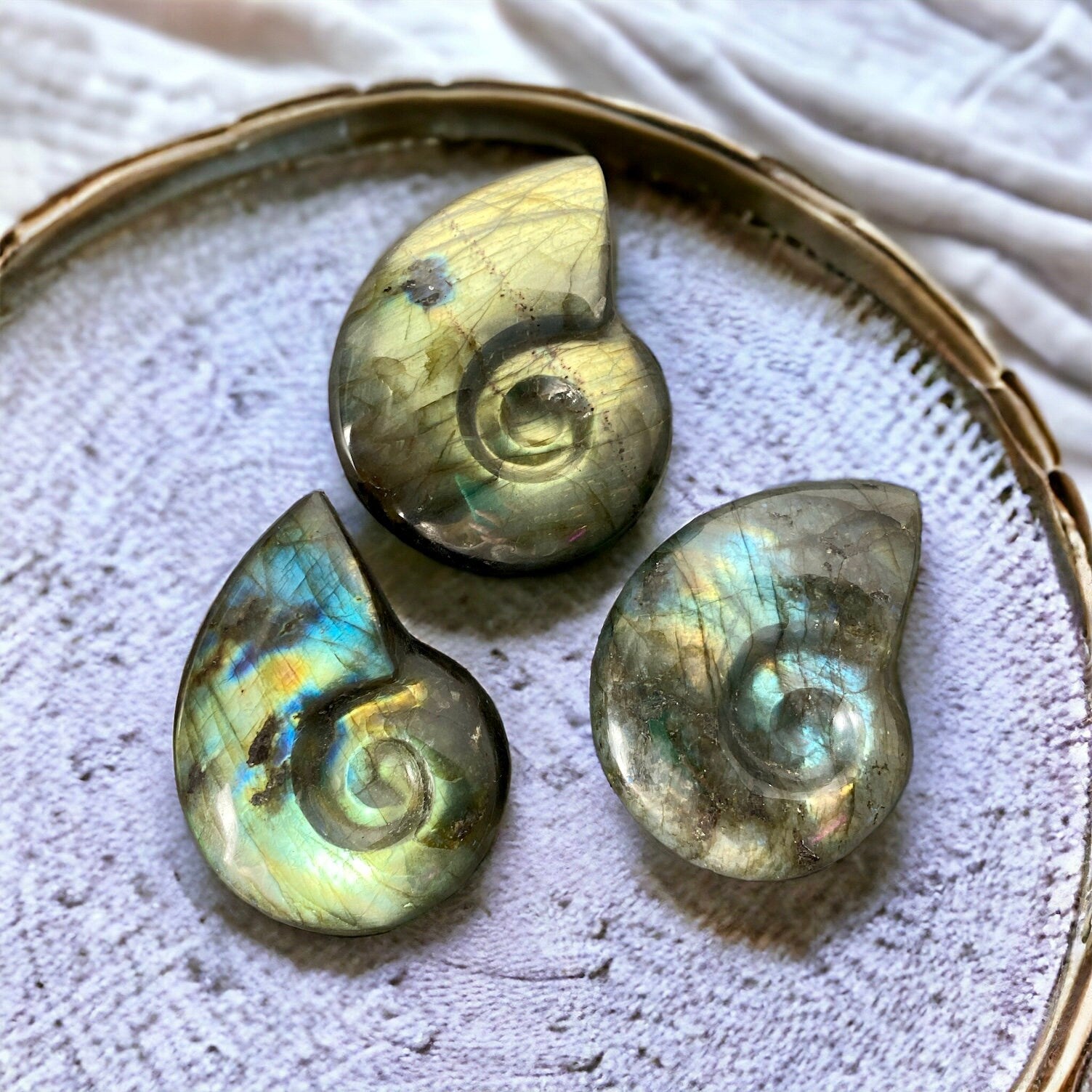 Labradorite Iridescent Fossil Ammonite Carving | Luna by Louise, Crystal Shop UK