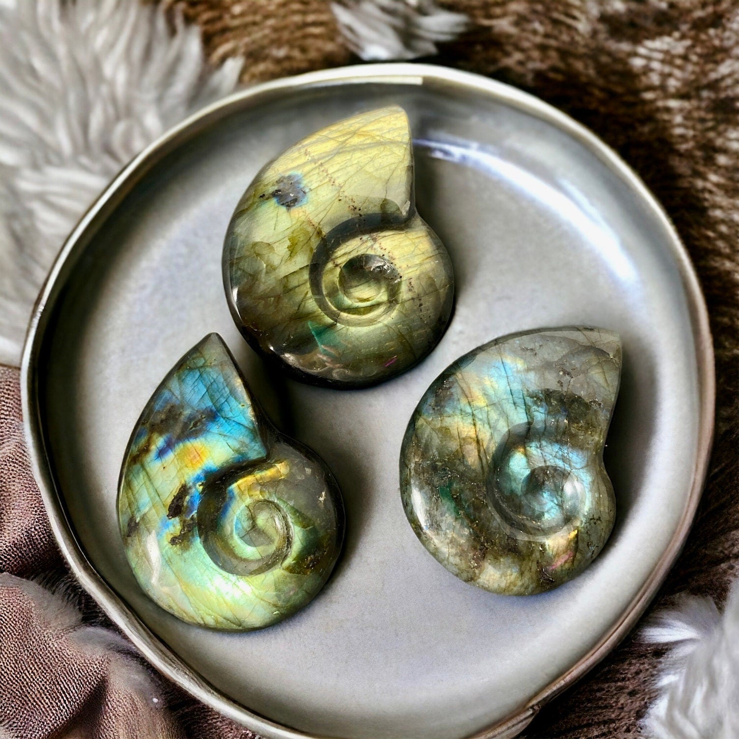 Labradorite Iridescent Fossil Ammonite Carving | Luna by Louise, Crystal Shop UK