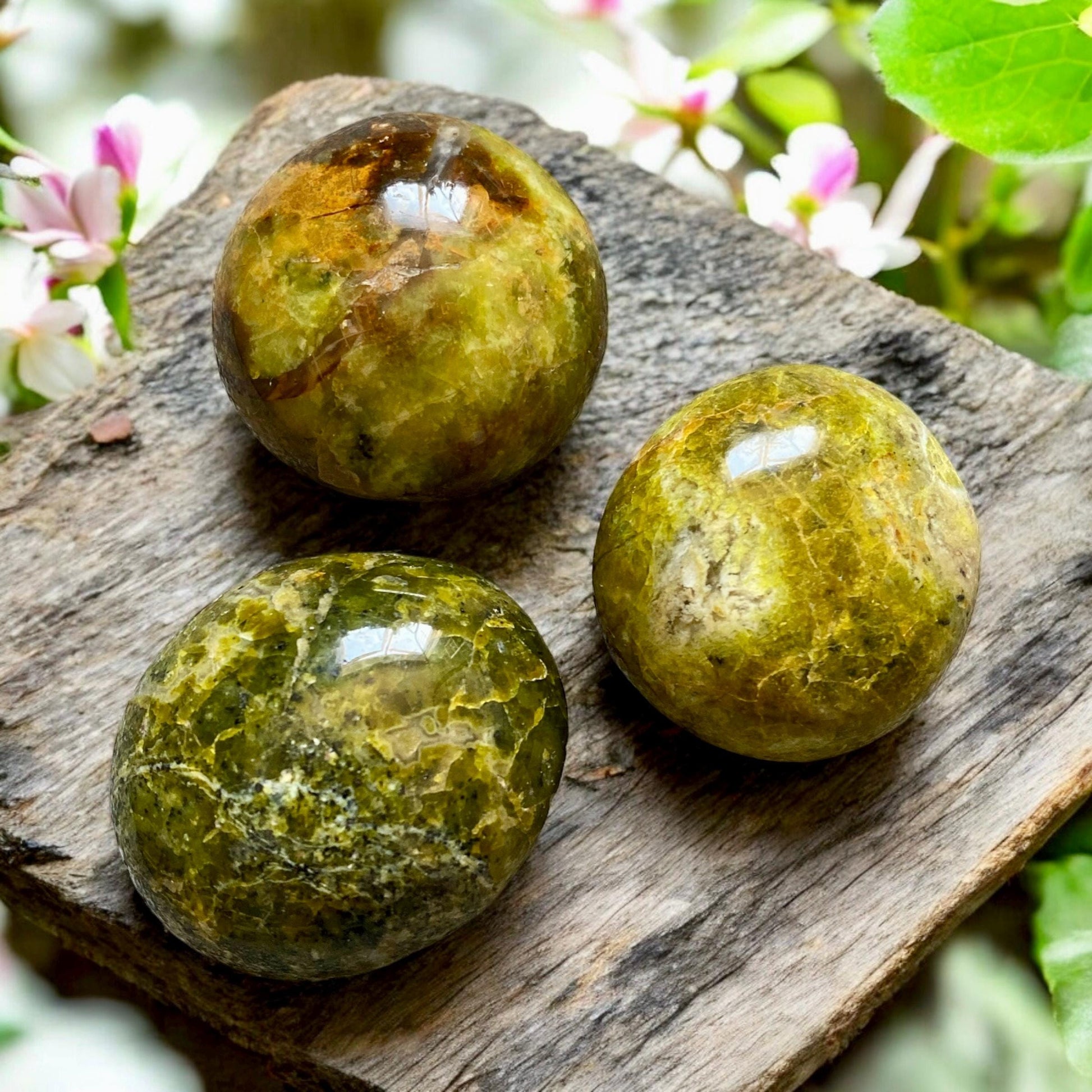 Green Opal Palm Stone, a Beautiful Green Crystal Palm Stone. Enchanting Gem for Calming Energy. Luna by Louise, Crystal Shop UK