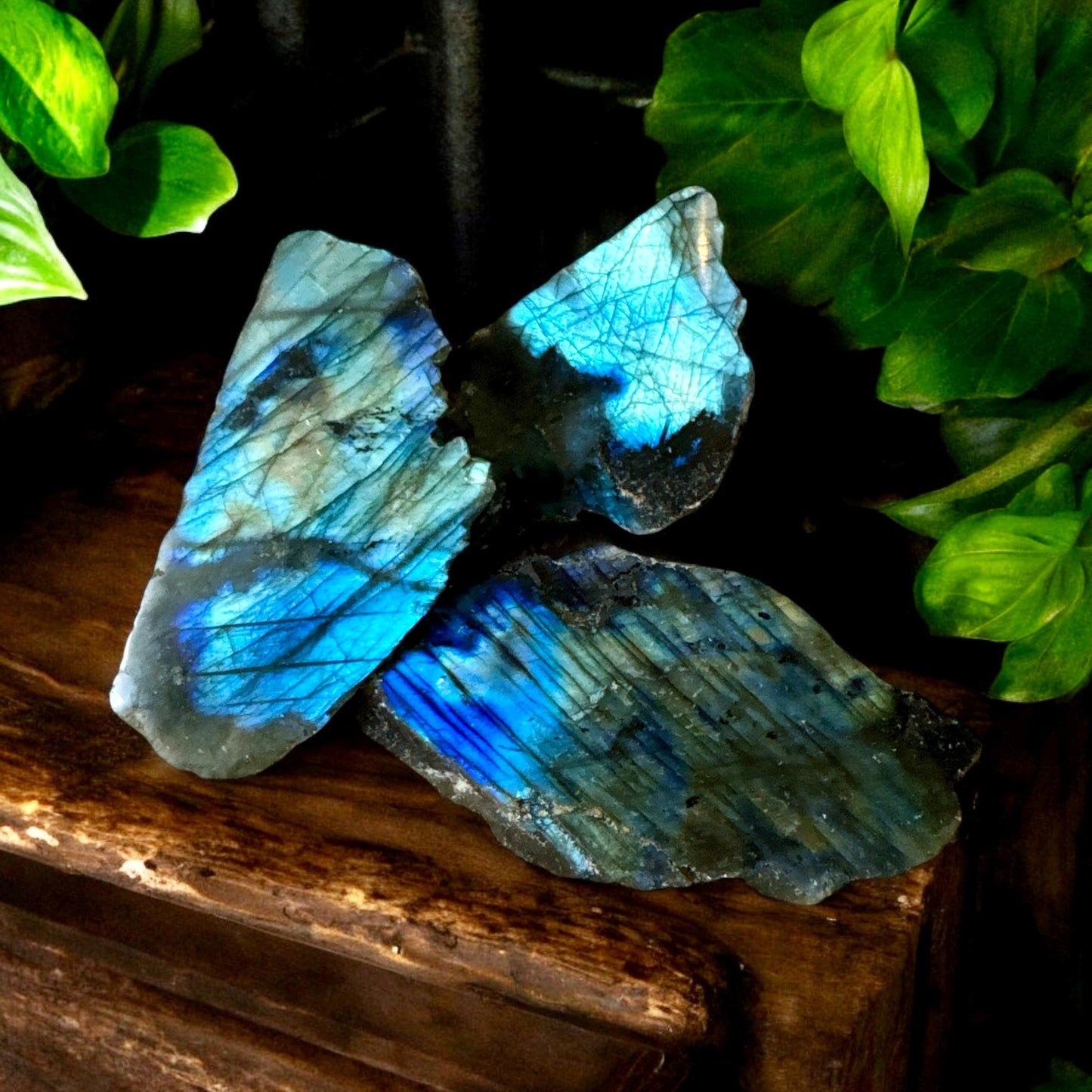 Flashy Labradorite Crystal Slab Pieces - Luna by Louise, Crystal Shop UK | Iridescent Crystal for Transformation and Protection