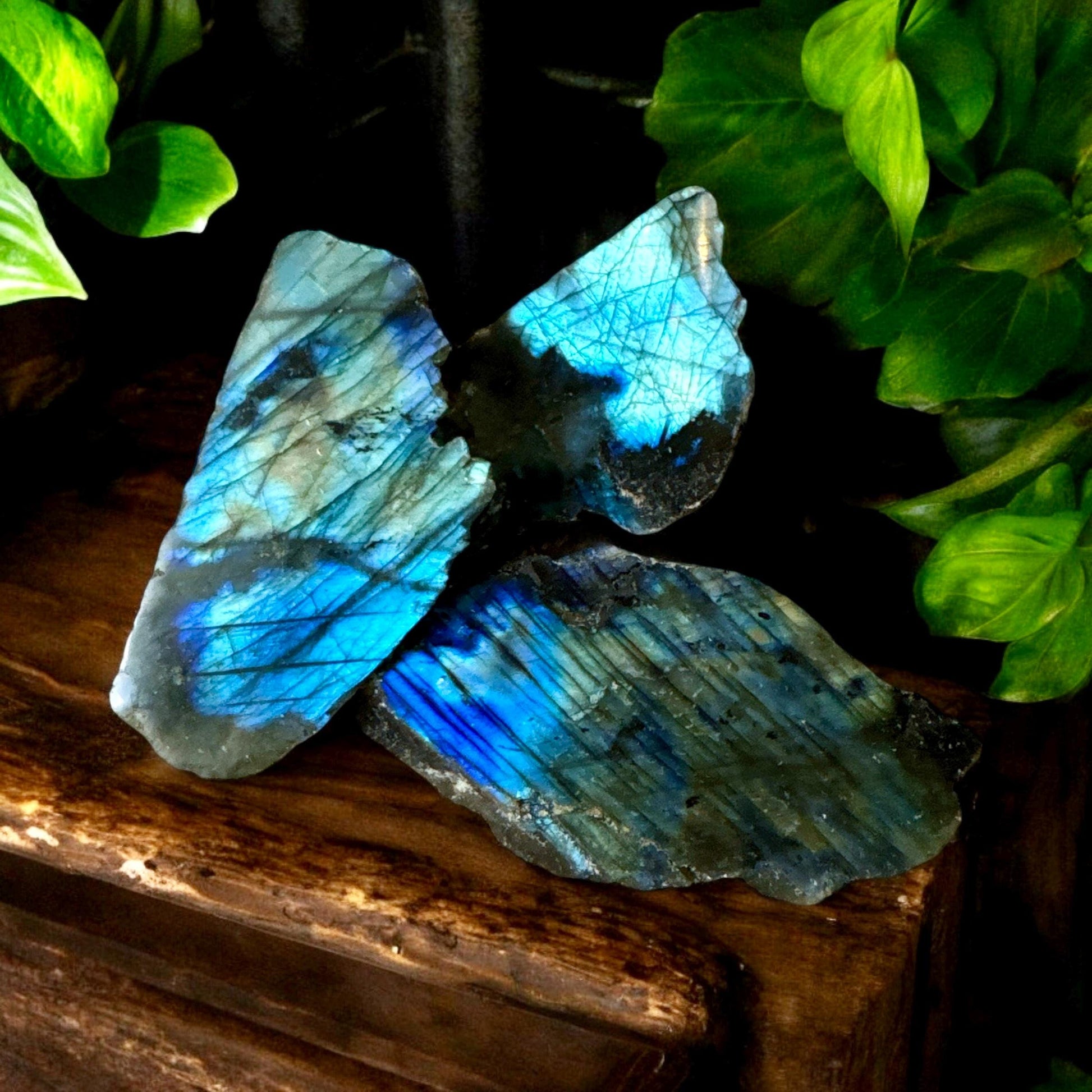 Flashy Labradorite Crystal Slab Pieces - Luna by Louise, Crystal Shop UK | Iridescent Crystal for Transformation and Protection