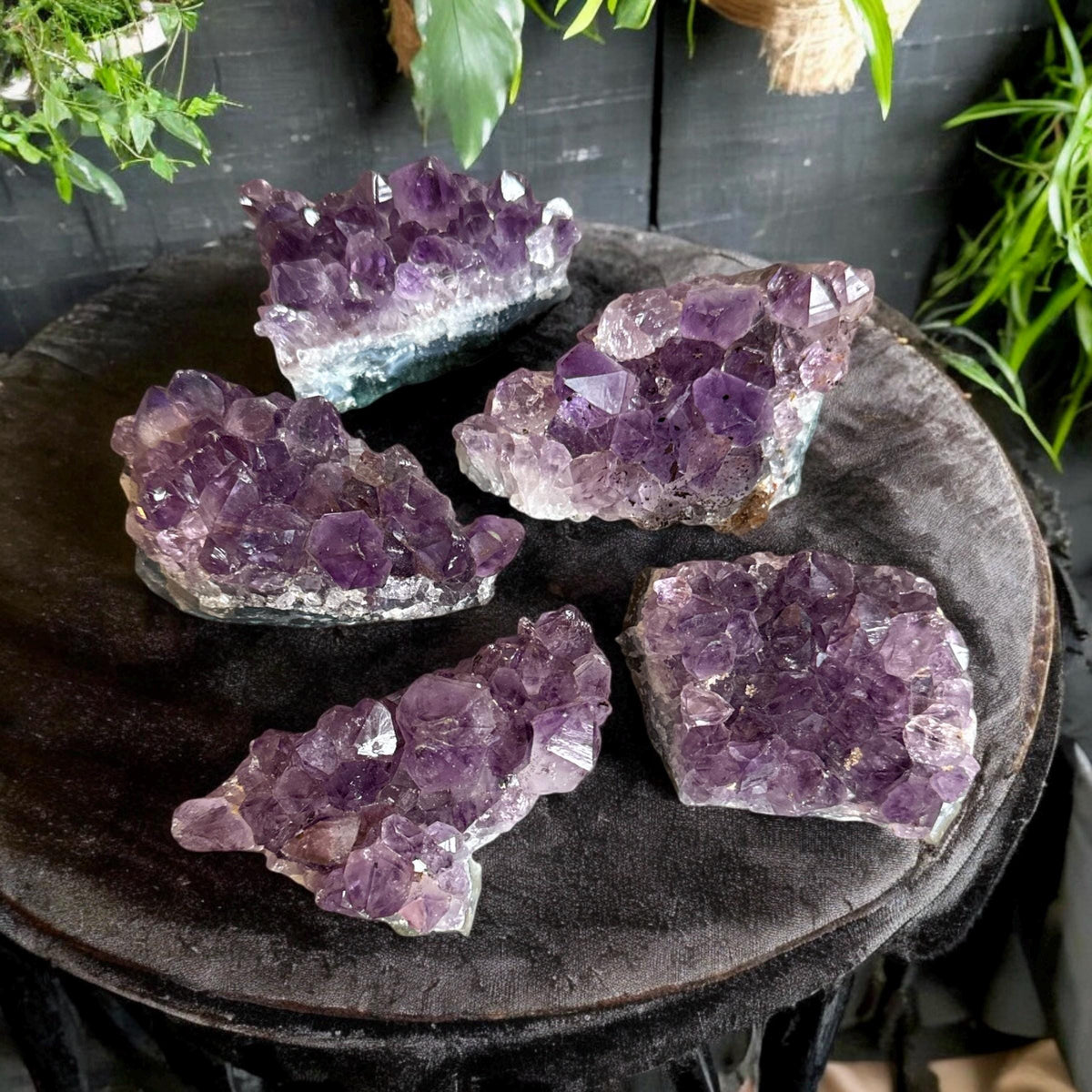 Amethyst Crystal Cluster, Amethyst Cluster, Natural Beauty | Luna by Louise, Crystals UK