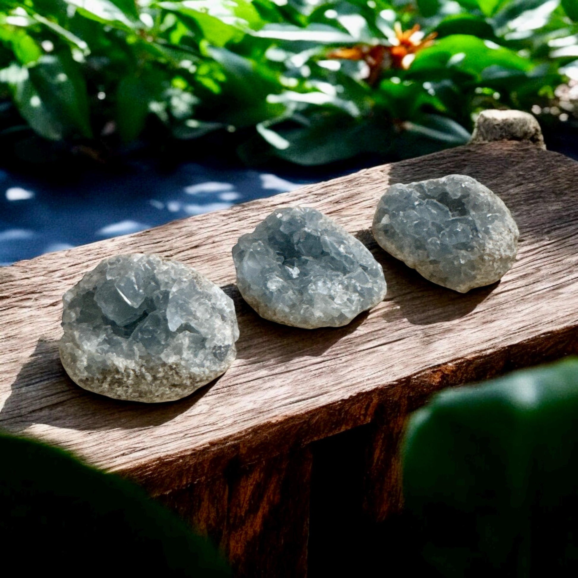 Celestite Clusters - Luna by Louise, Crystal Shop UK | Calming Celestial Crystal for Serenity