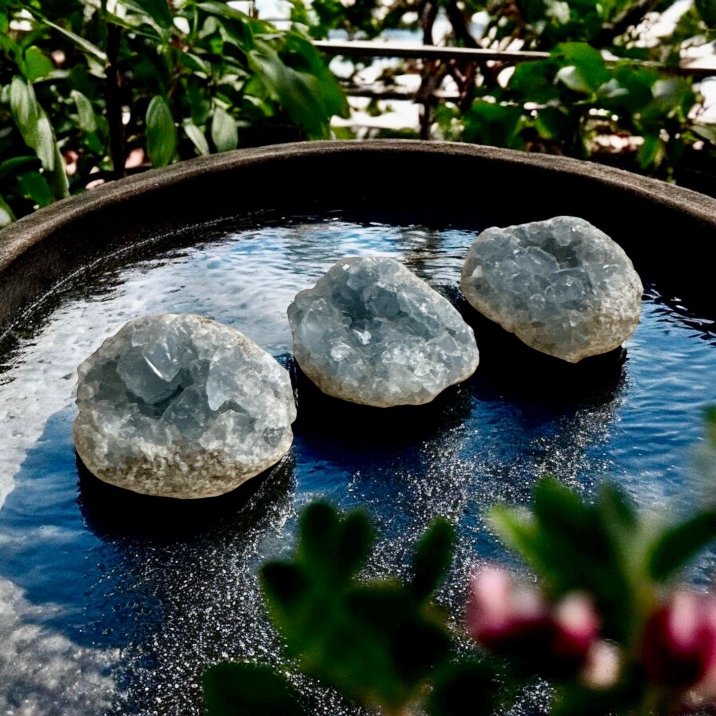 Celestite Clusters - Luna by Louise, Crystal Shop UK | Calming Celestial Crystal for Serenity