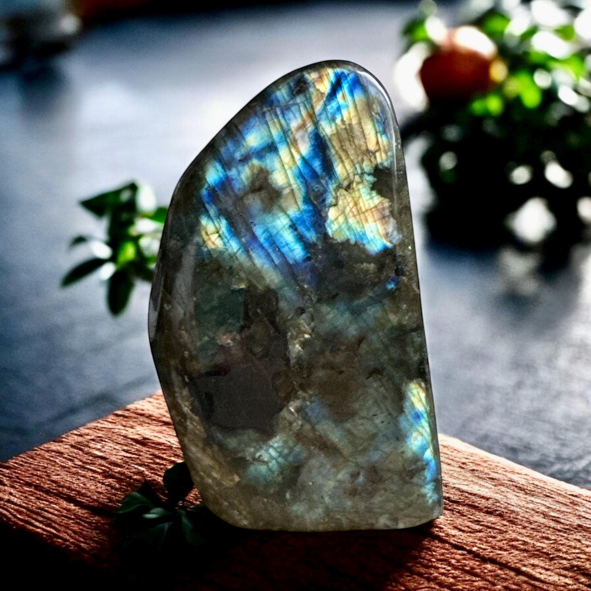 Labradorite Freeform: Blue Flash Crystal Decor (100mm x 55mm)