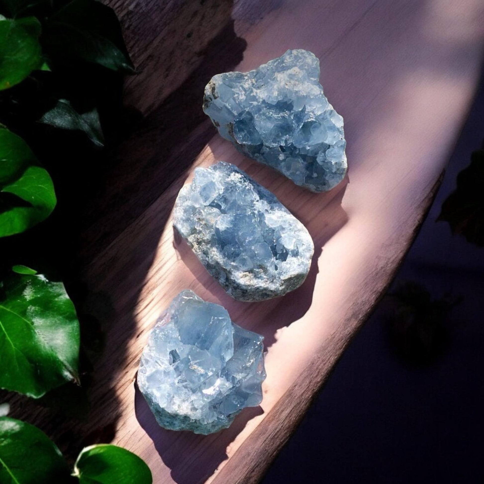 Celestite Clusters - Luna by Louise, Crystal Shop UK | Calming Celestial Crystal for Serenity