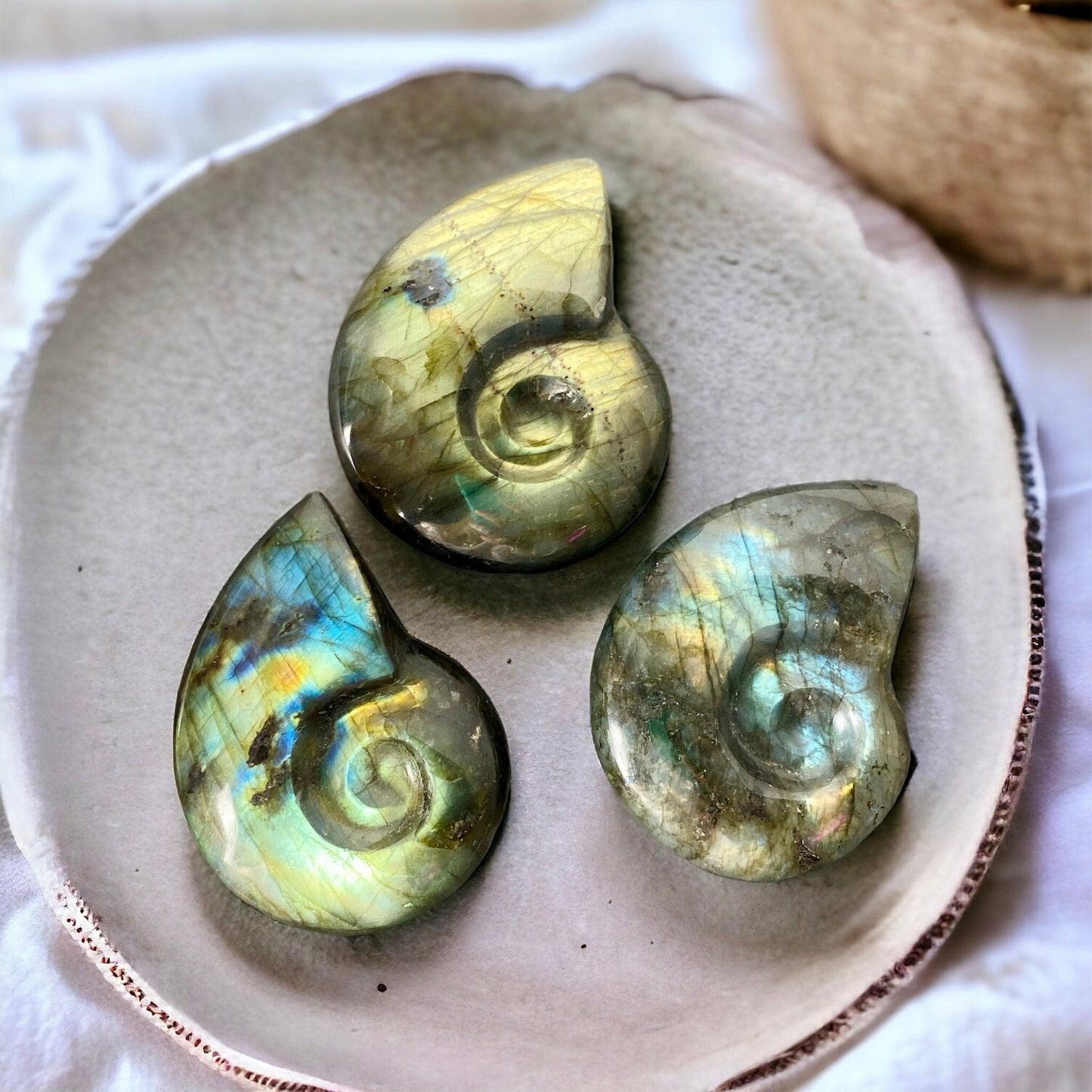 Labradorite Iridescent Fossil Ammonite Carving | Luna by Louise, Crystal Shop UK