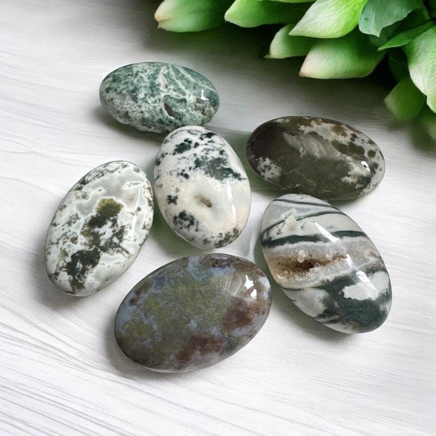 Moss Agate Palm Stone: Nurturing Earth Energy Crystal