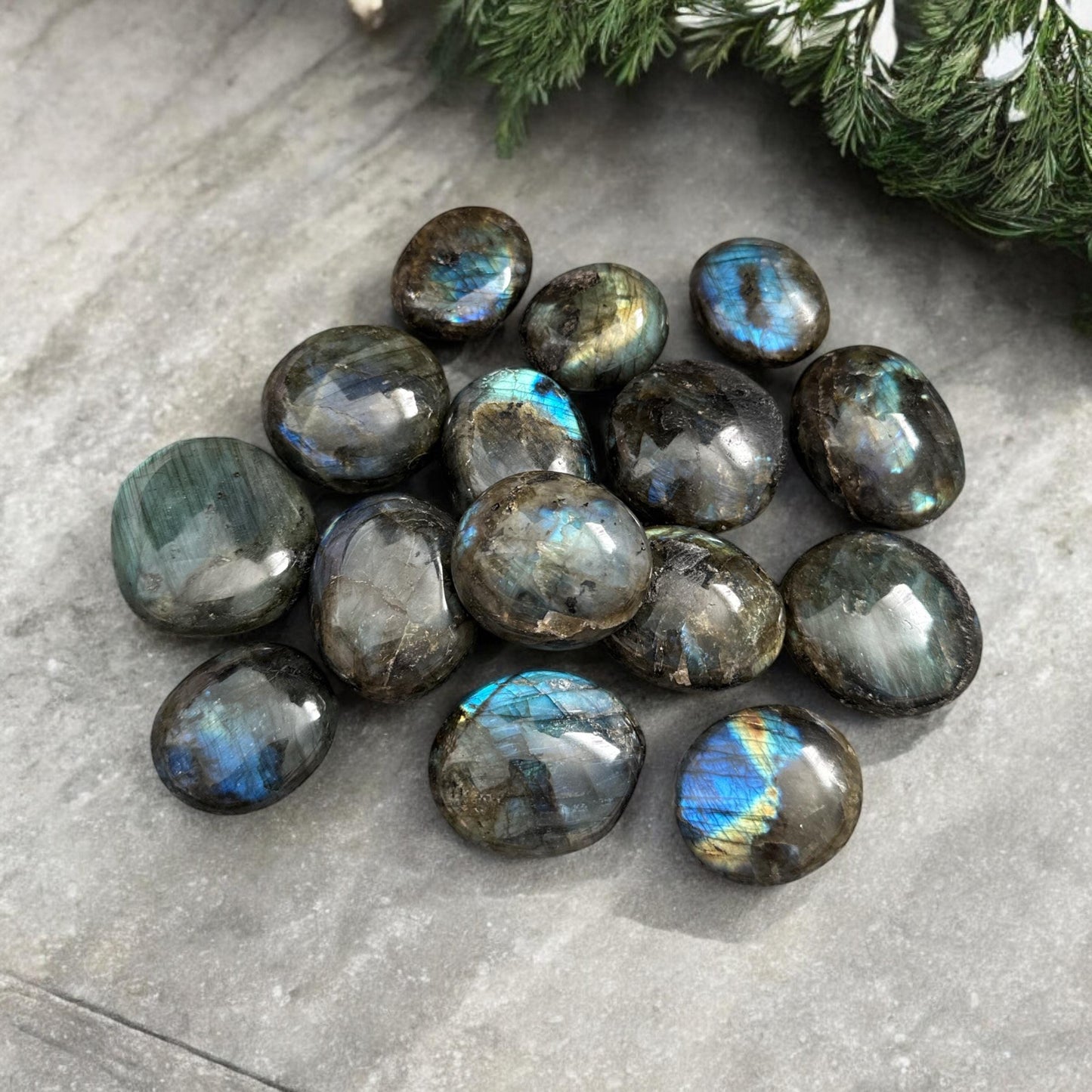 Labradorite Palm Stone: Iridescent Crystal for Intuition (40mm x 40mm)