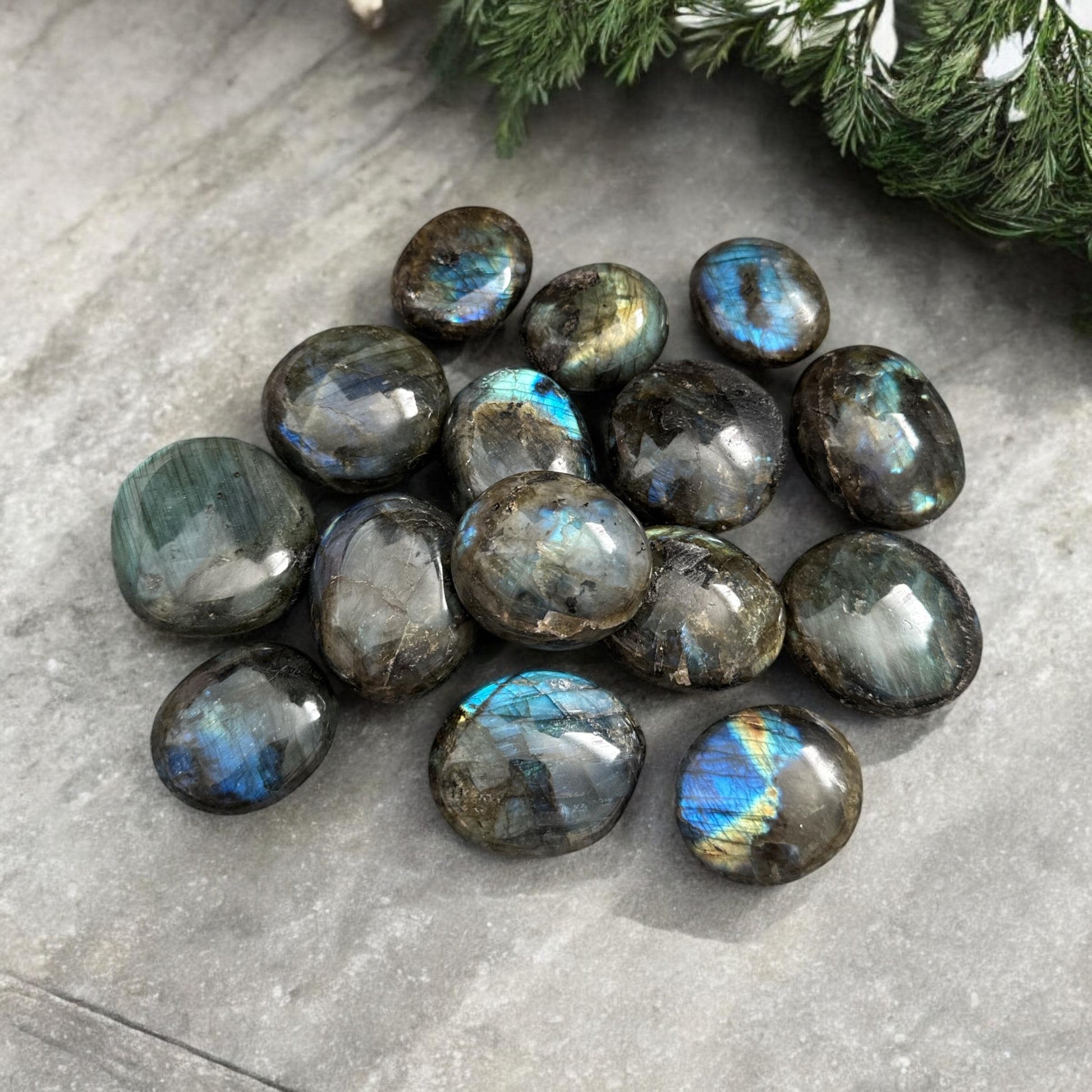 Labradorite Palm Stone: Iridescent Crystal for Intuition (40mm x 40mm)