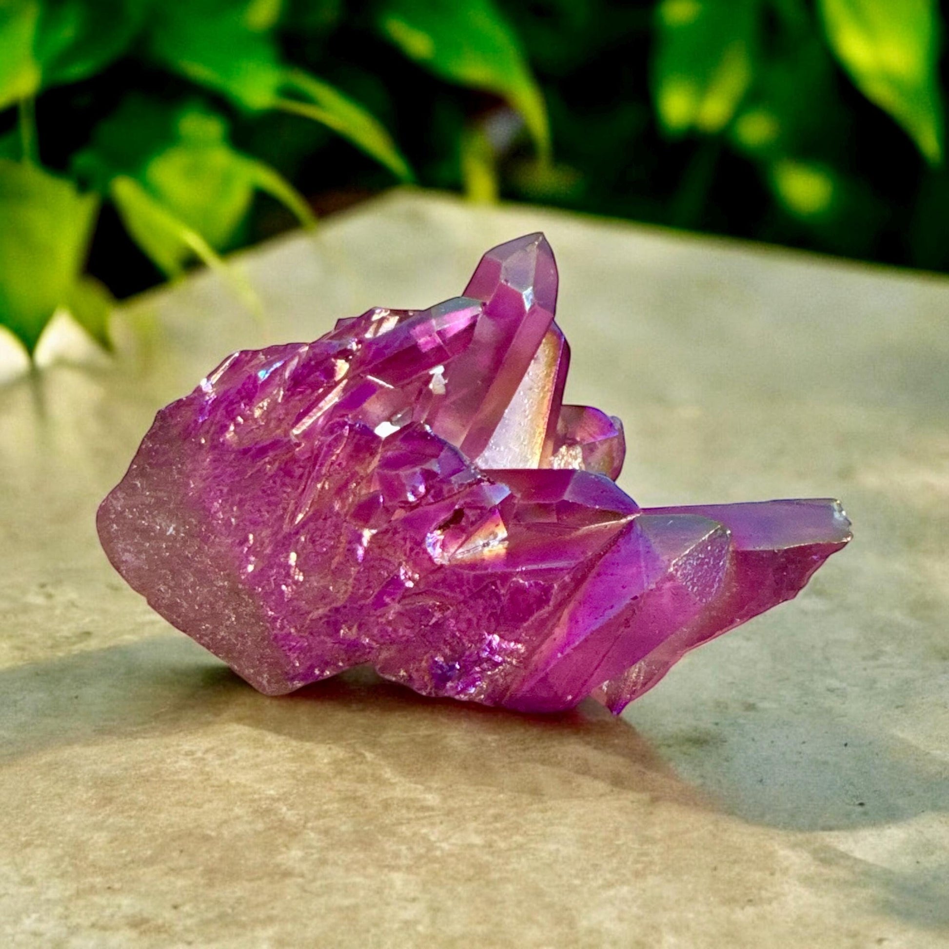 Purple Aura Lemurian Quartz Cluster: Unique Crystal (200g)