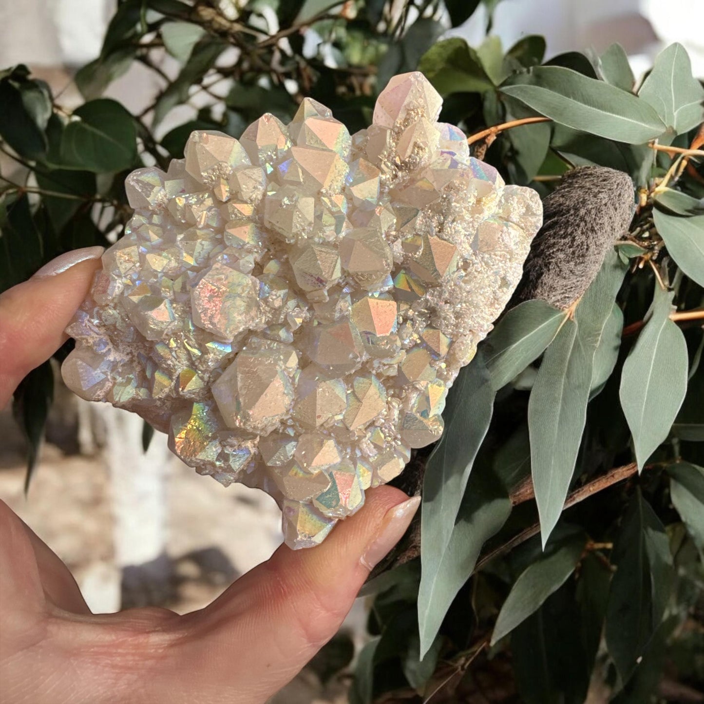 Angel Aura White Quartz Crystal Heart Cluster