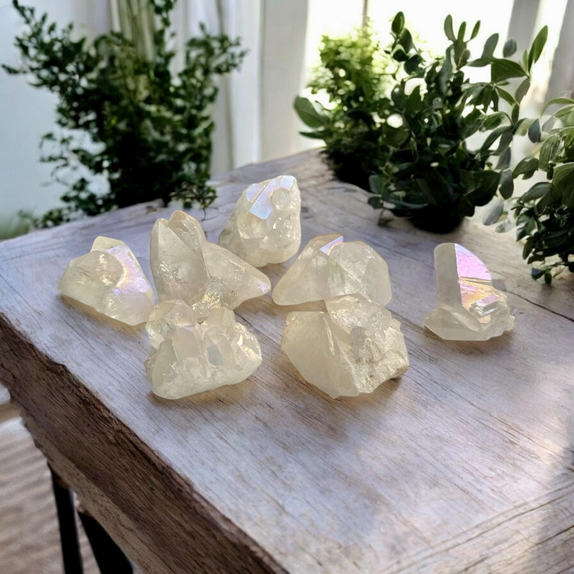 Angel Aura Quartz Points, Radiant High Vibrational Crystal – Luna by Louise, Crystal Shop UK