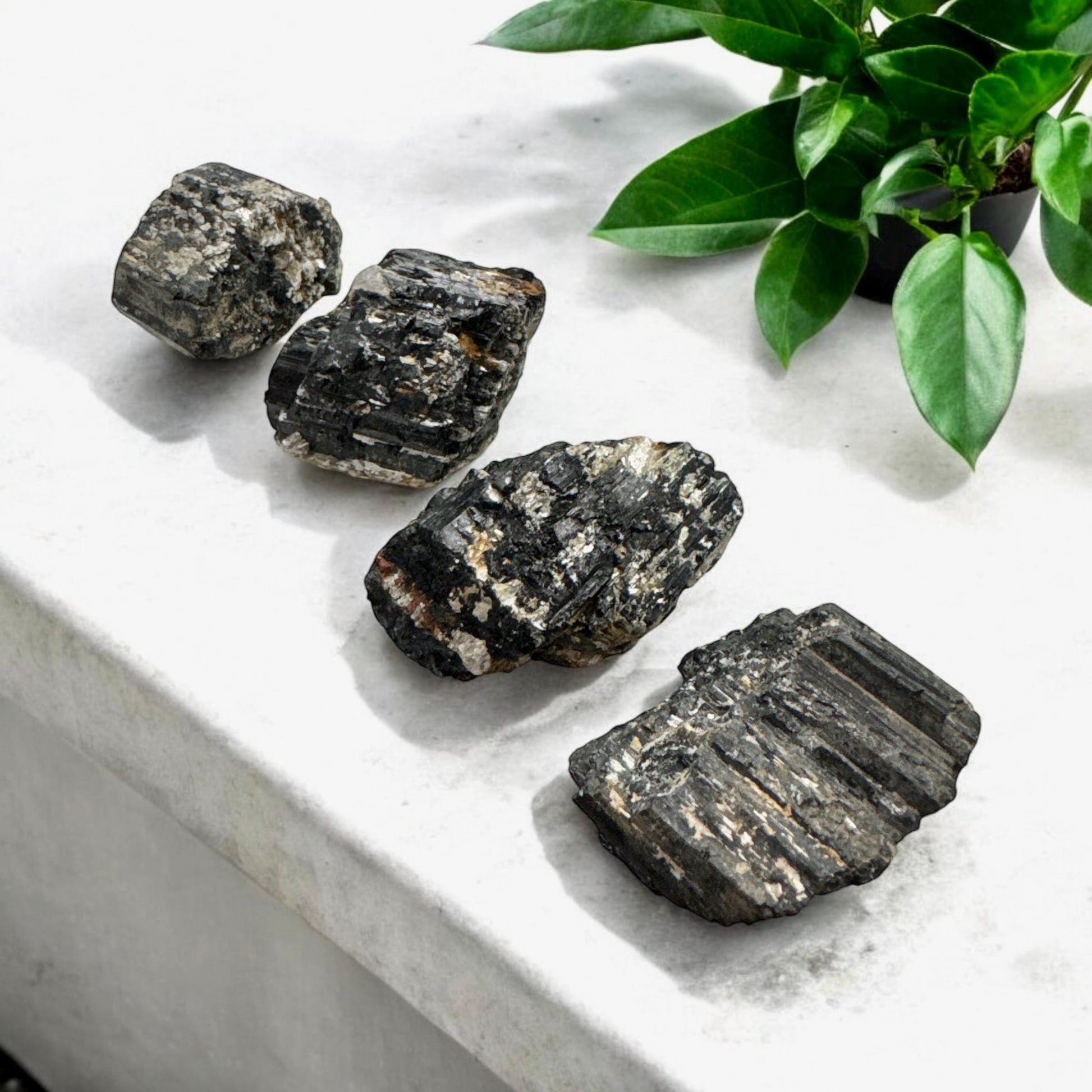 Black Tourmaline with Mica: Protection Crystal Piece
