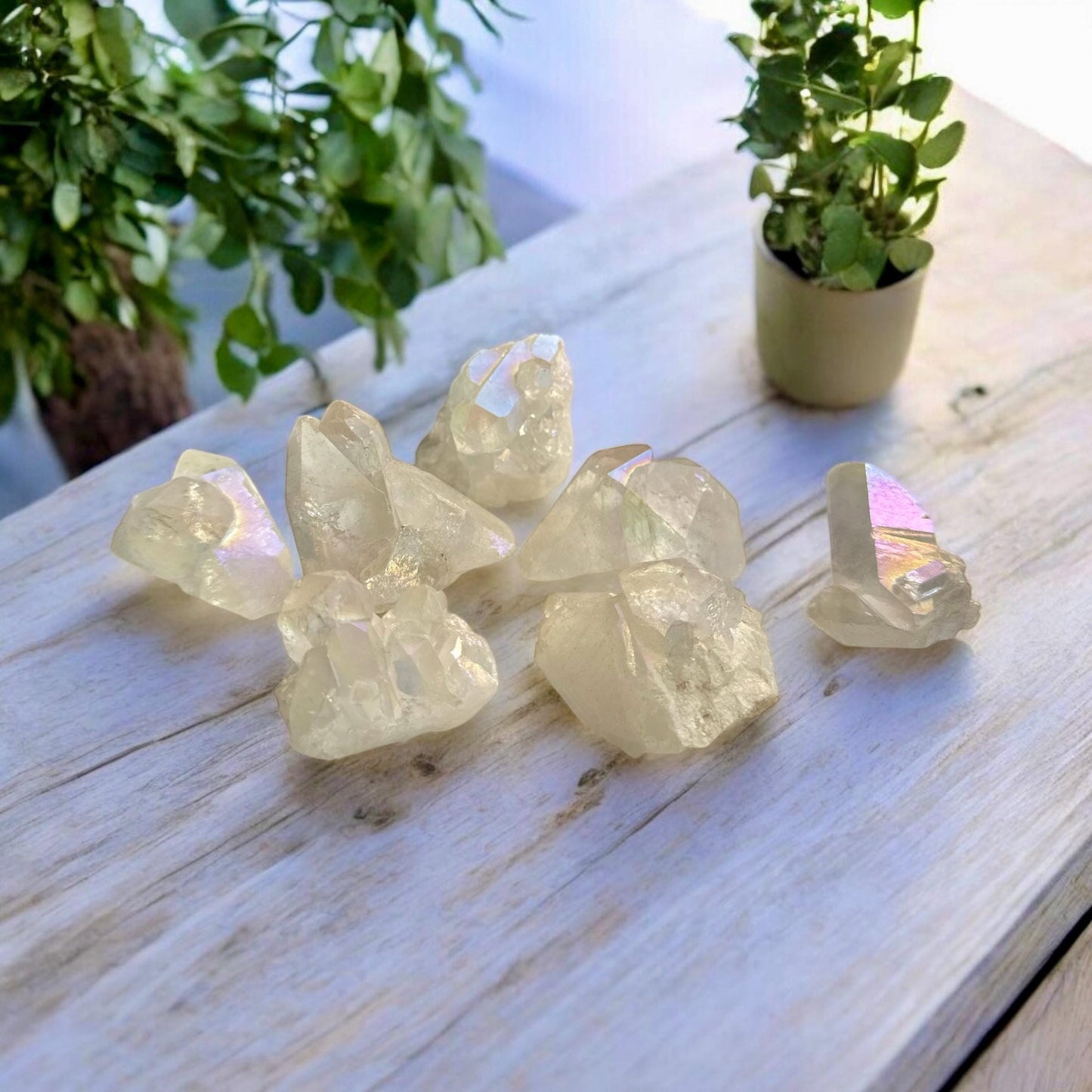 Angel Aura Quartz Points, Radiant High Vibrational Crystal – Luna by Louise, Crystal Shop UK