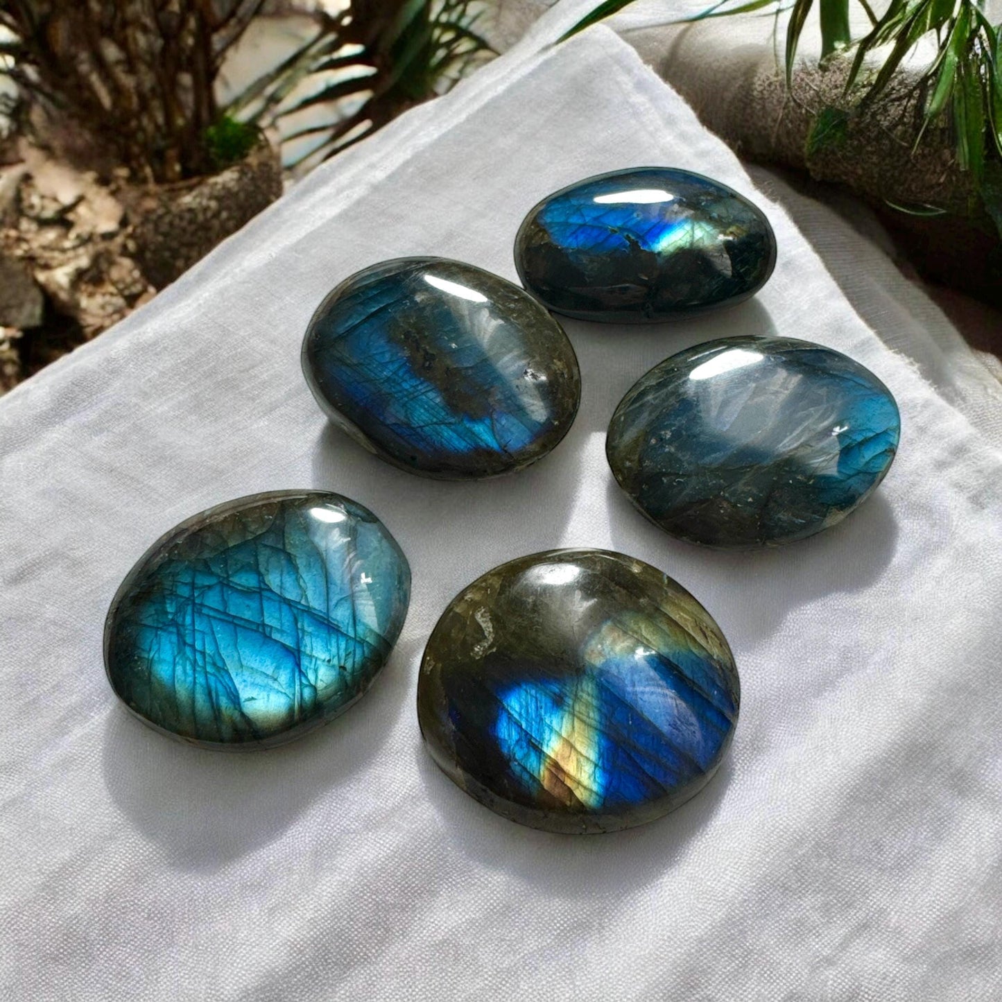 Labradorite Palm Stone: Iridescent Crystal for Intuition (40mm x 40mm)