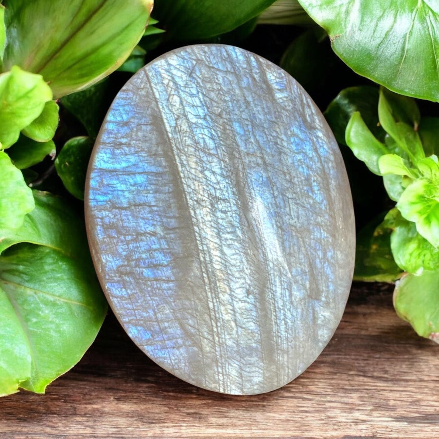 White Moonstone Palm Stone: Grade A Crystal for Emotional Balance