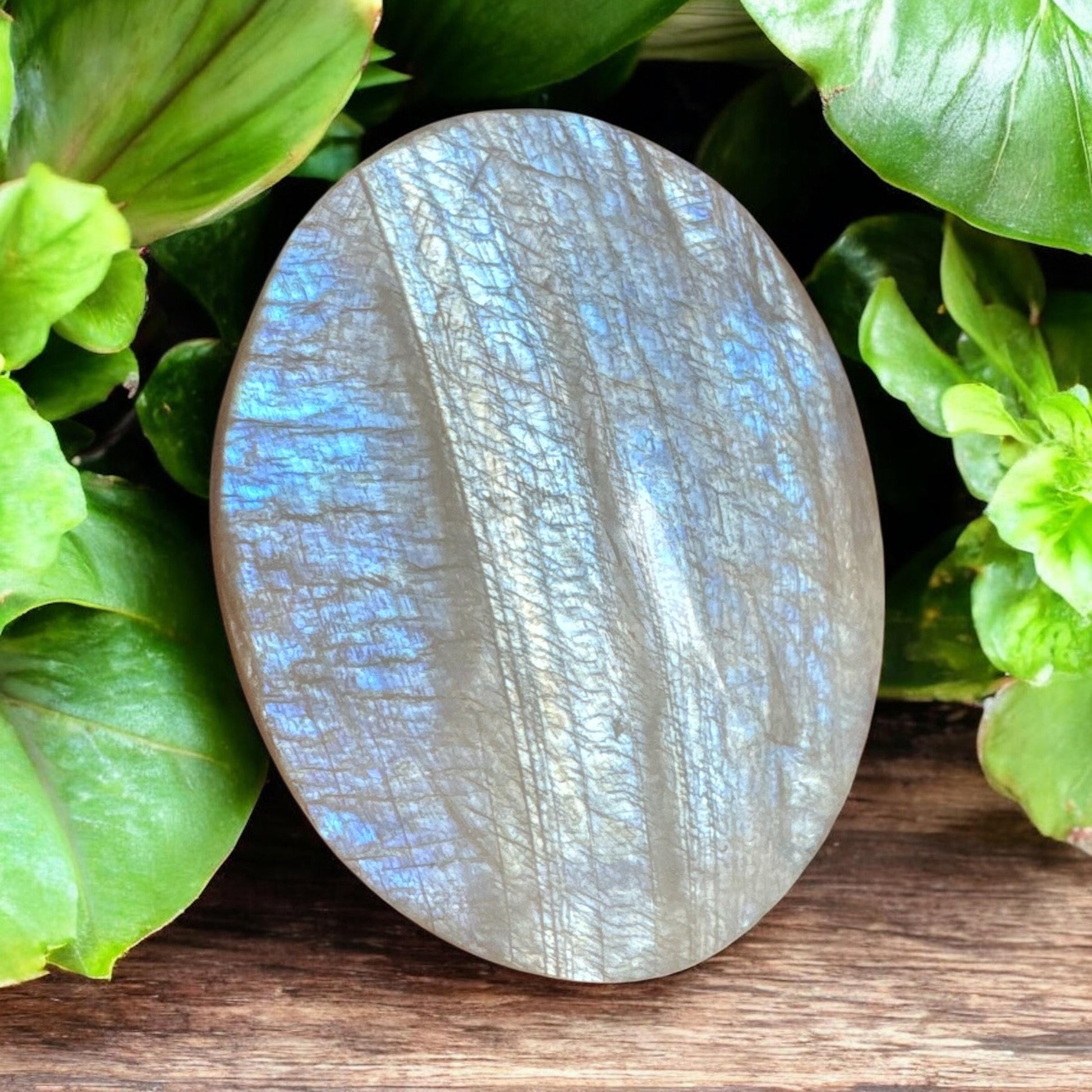 White Moonstone Palm Stone: Grade A Crystal for Emotional Balance