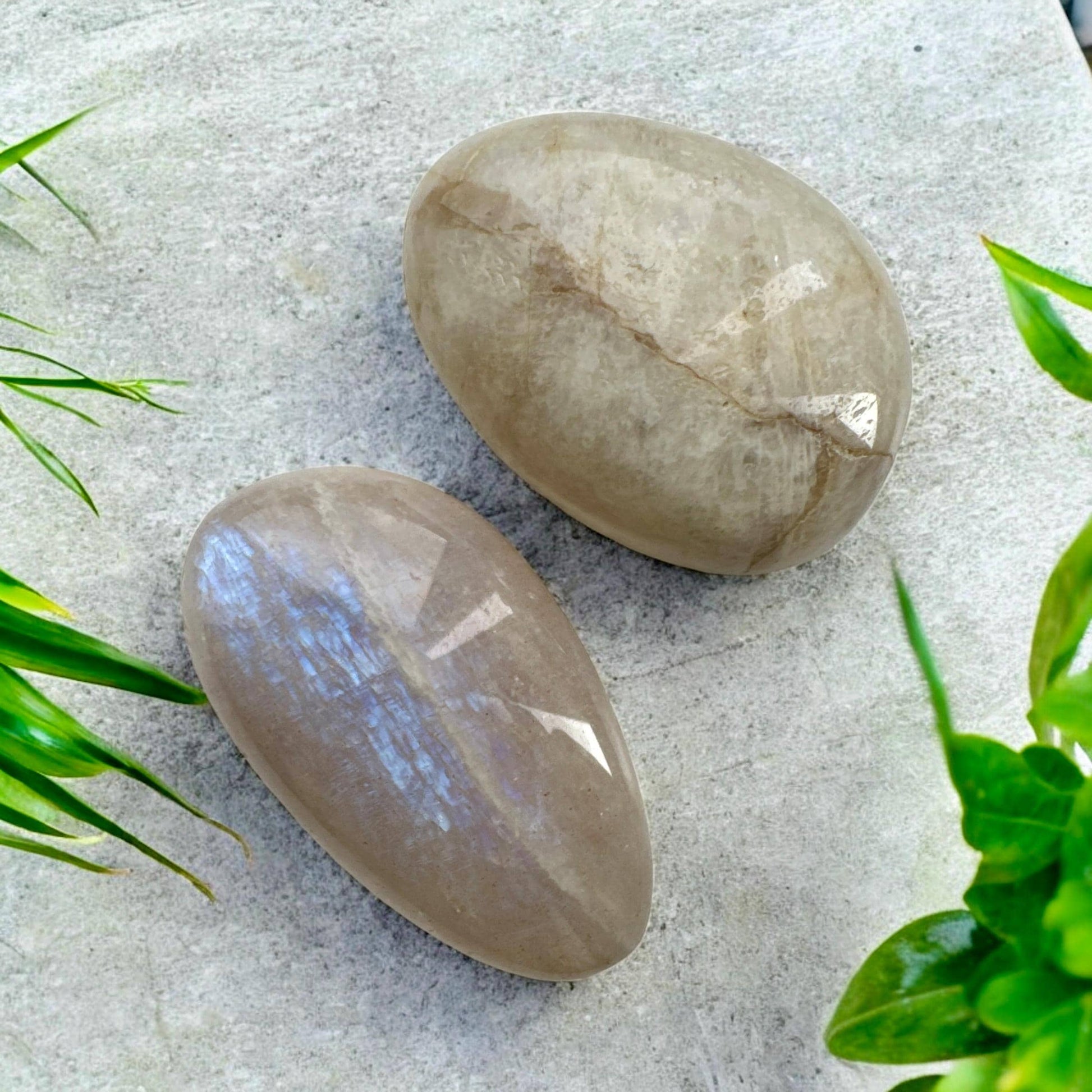 Moonstone Crystal Tumble Stone: Intuition, Balance & Feminine Energy