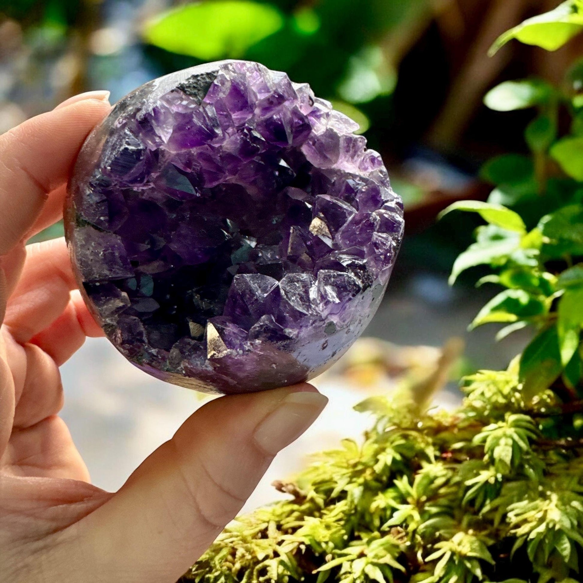 Dark Amethyst Crystal Cluster Sphere: Spiritual Protection, Luna by Louise