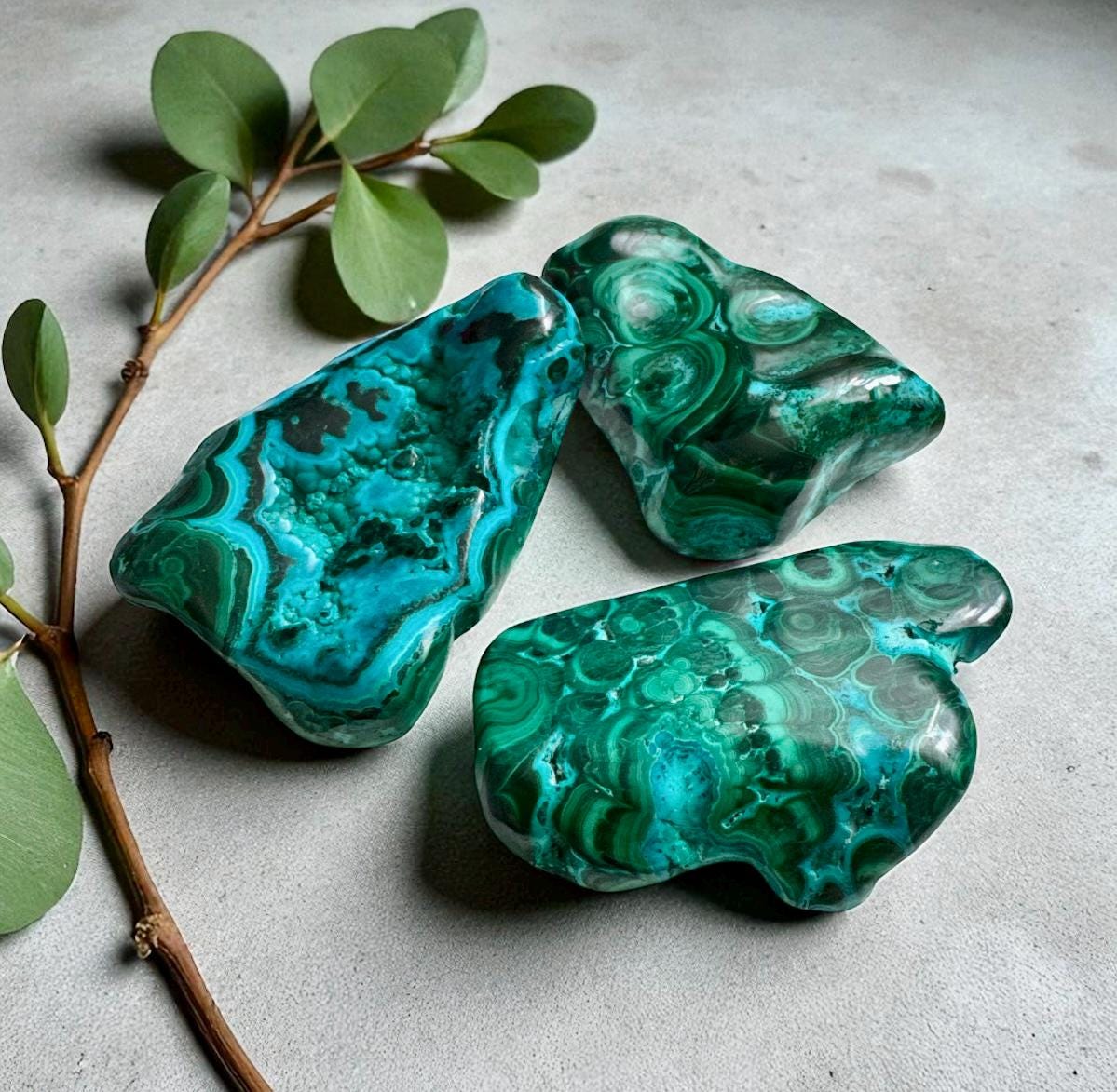 Malachite Chrysocolla Crystal: Rare Healing Stone Display - Luna by Louise