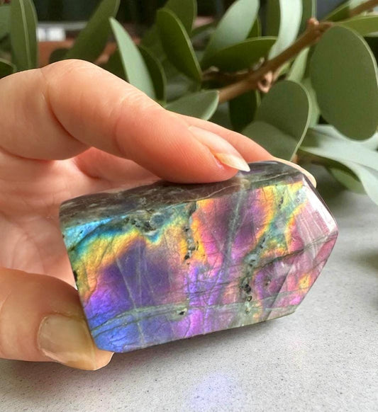 Polished Sunset Labradorite Crystal: Pink, Purple, Gold Flash