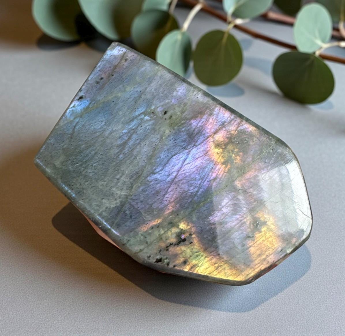 Polished Sunset Labradorite Crystal: Pink, Purple, Gold Flash