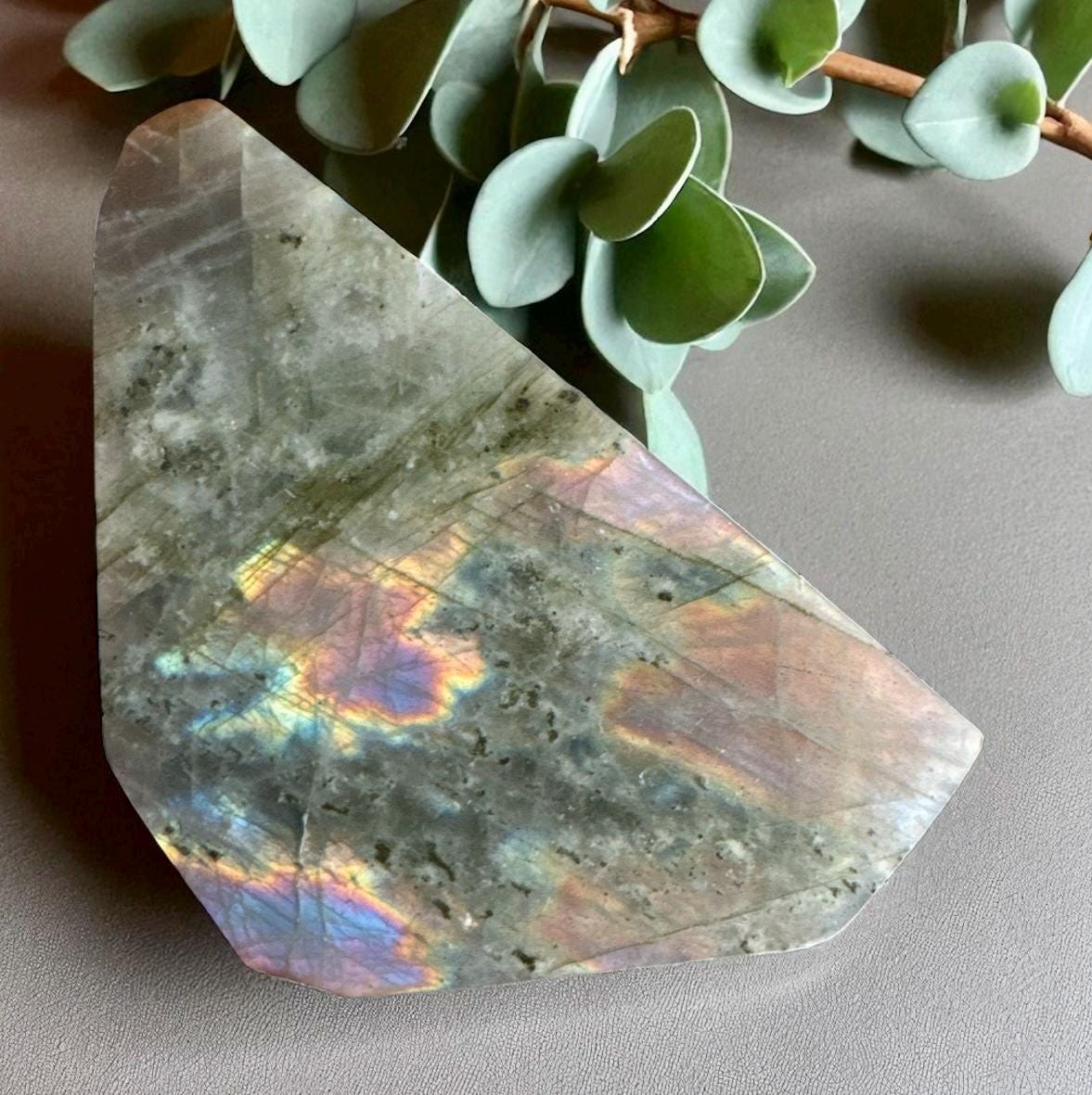Polished Sunset Labradorite Crystal: Pink, Purple, Gold Flash