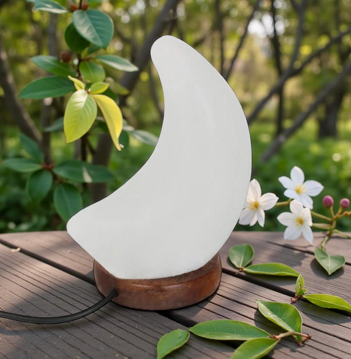Himalayan Salt Moon Lamp – White Crystal USB Light