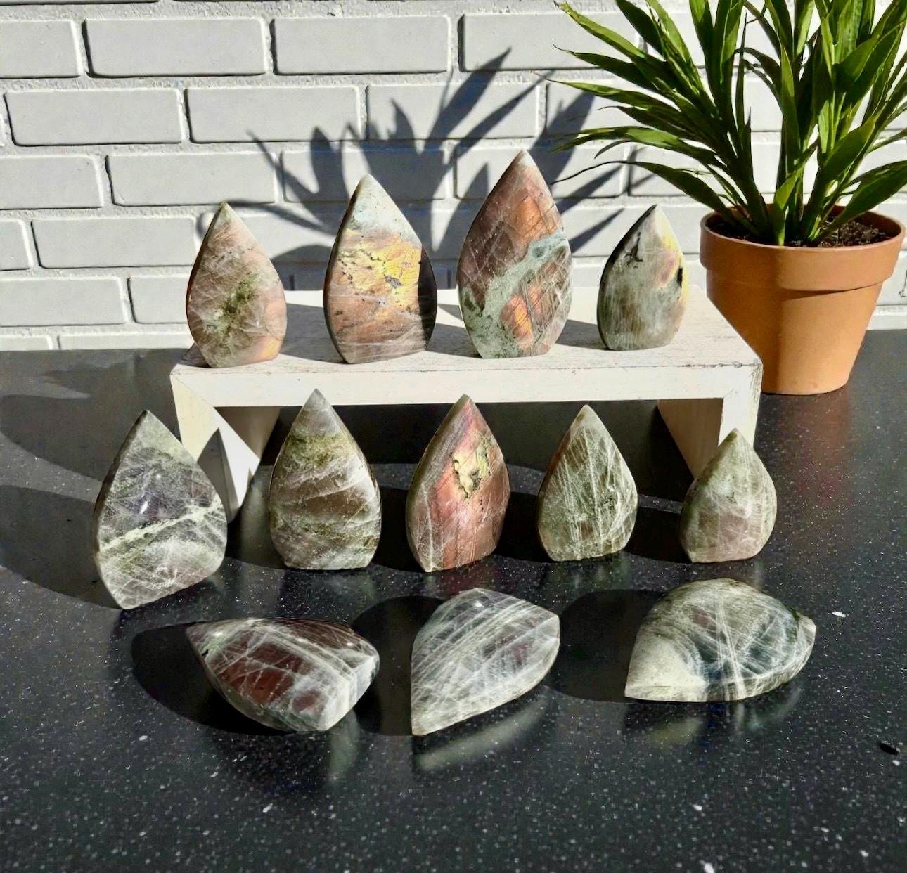 Polished Sunset Labradorite Crystal Flame : Pink, Purple, Gold Flash