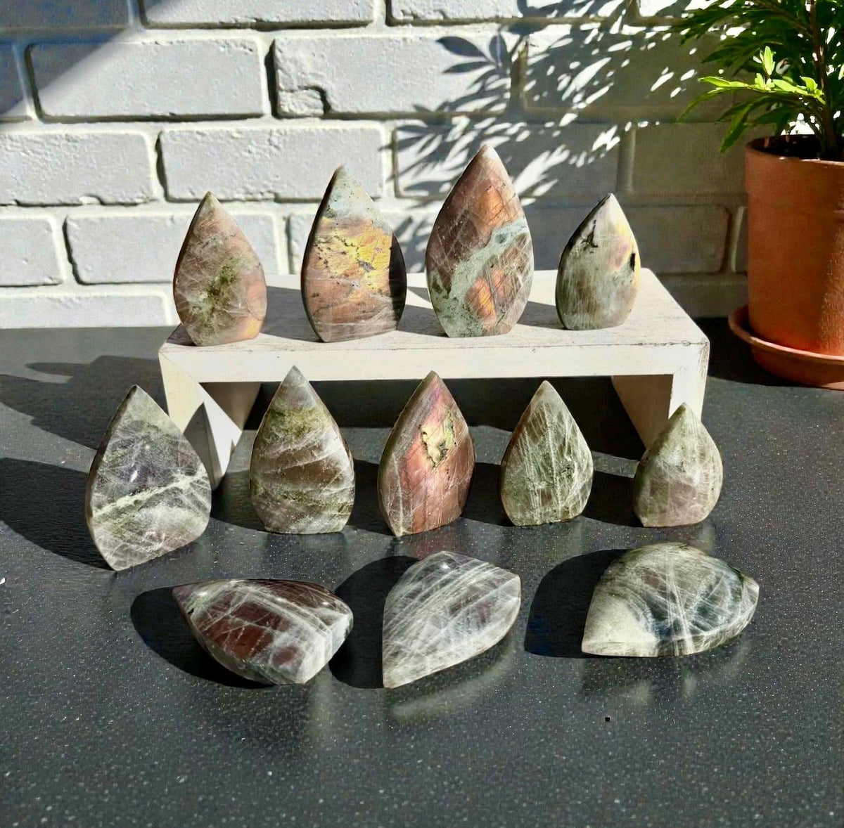 Polished Sunset Labradorite Crystal Flame : Pink, Purple, Gold Flash