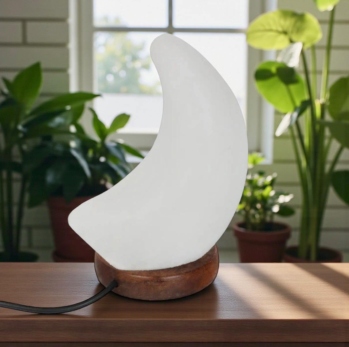Himalayan Salt Moon Lamp – White Crystal USB Light