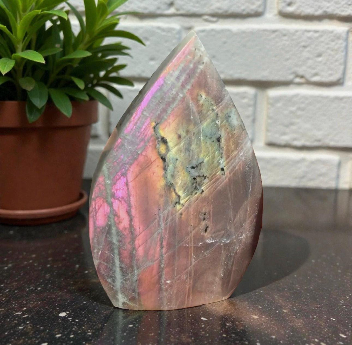 Polished Sunset Labradorite Crystal Flame : Pink, Purple, Gold Flash