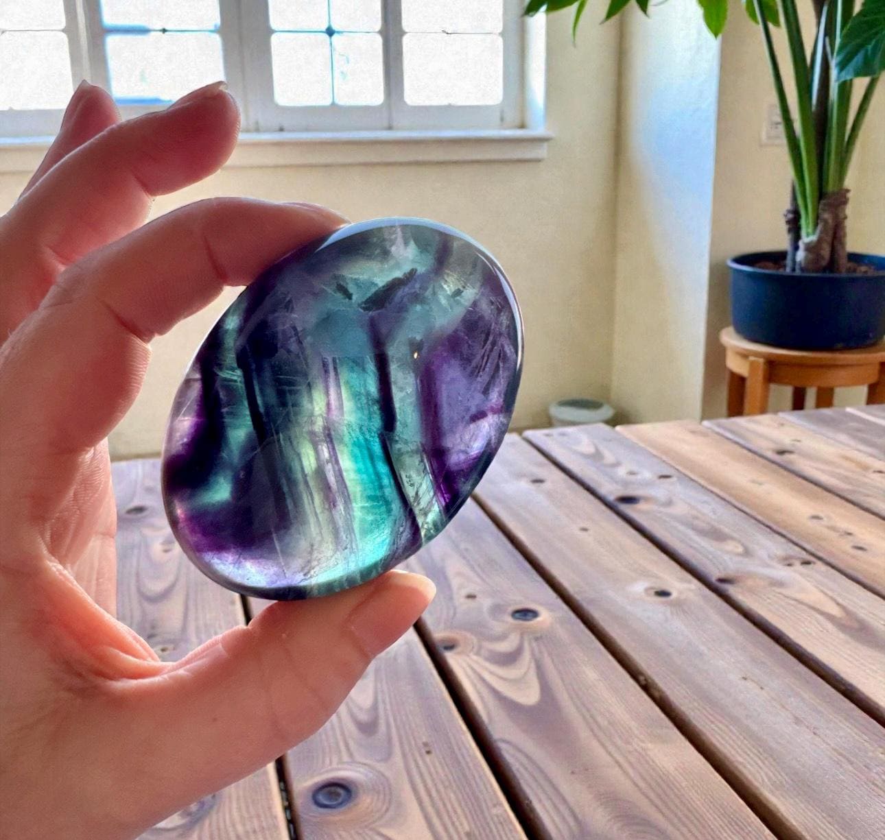 Rainbow Fluorite Palm Stone | Polished Calming Crystal