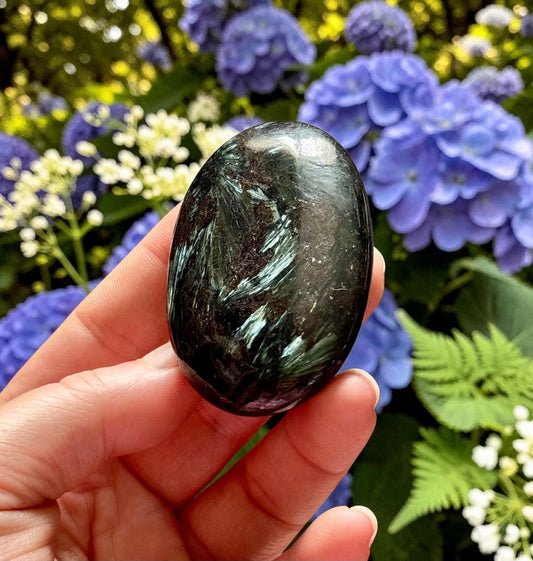 Astrophyllite Blue Arfvedsonite Palm Stone – Rare Feather Crystal for Transformation Insight