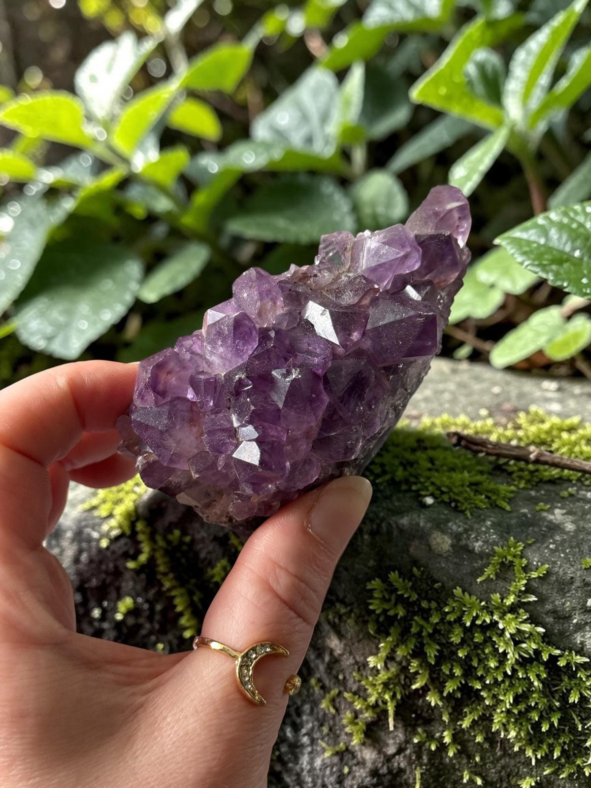 Amethyst Crystal Cluster, Amethyst Cluster, Natural Beauty | Luna by Louise, Crystals UK