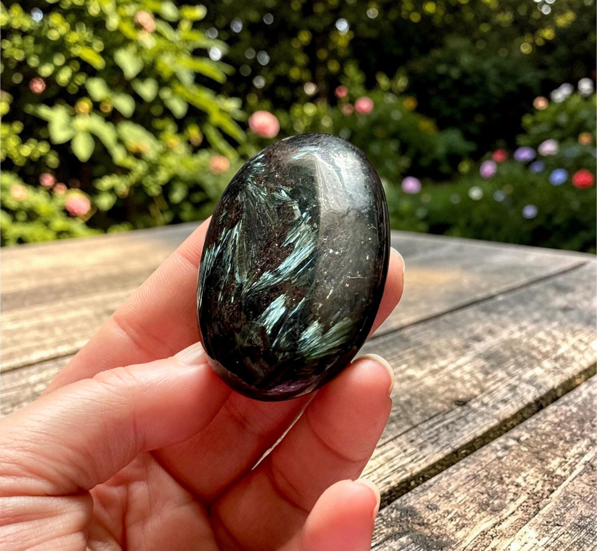 Astrophyllite Blue Arfvedsonite Palm Stone – Rare Feather Crystal for Transformation Insight