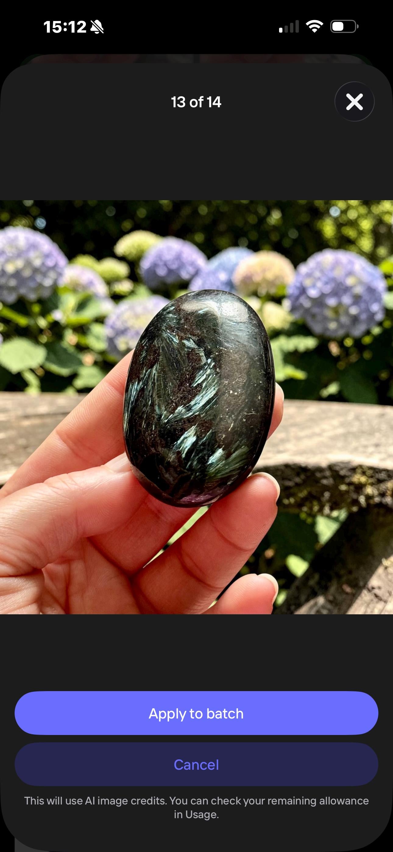 Astrophyllite Blue Arfvedsonite Palm Stone – Rare Feather Crystal for Transformation Insight