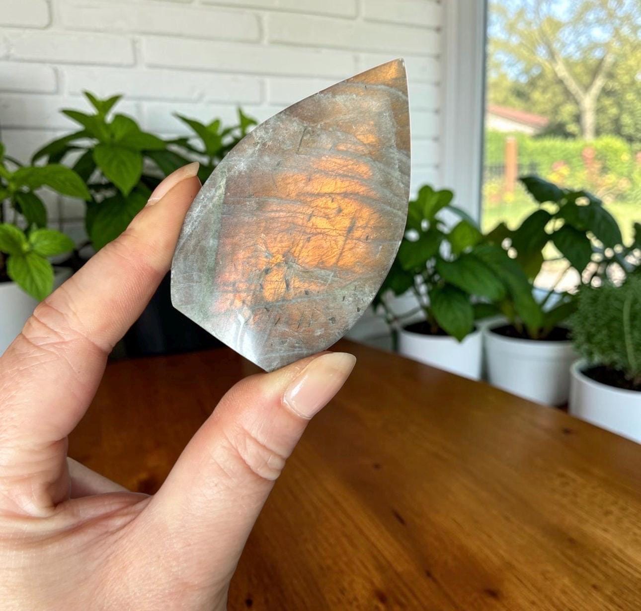 Polished Sunset Labradorite Crystal Flame : Pink, Purple, Gold Flash