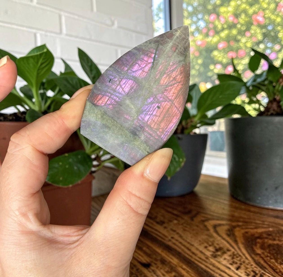 Polished Sunset Labradorite Crystal Flame : Pink, Purple, Gold Flash