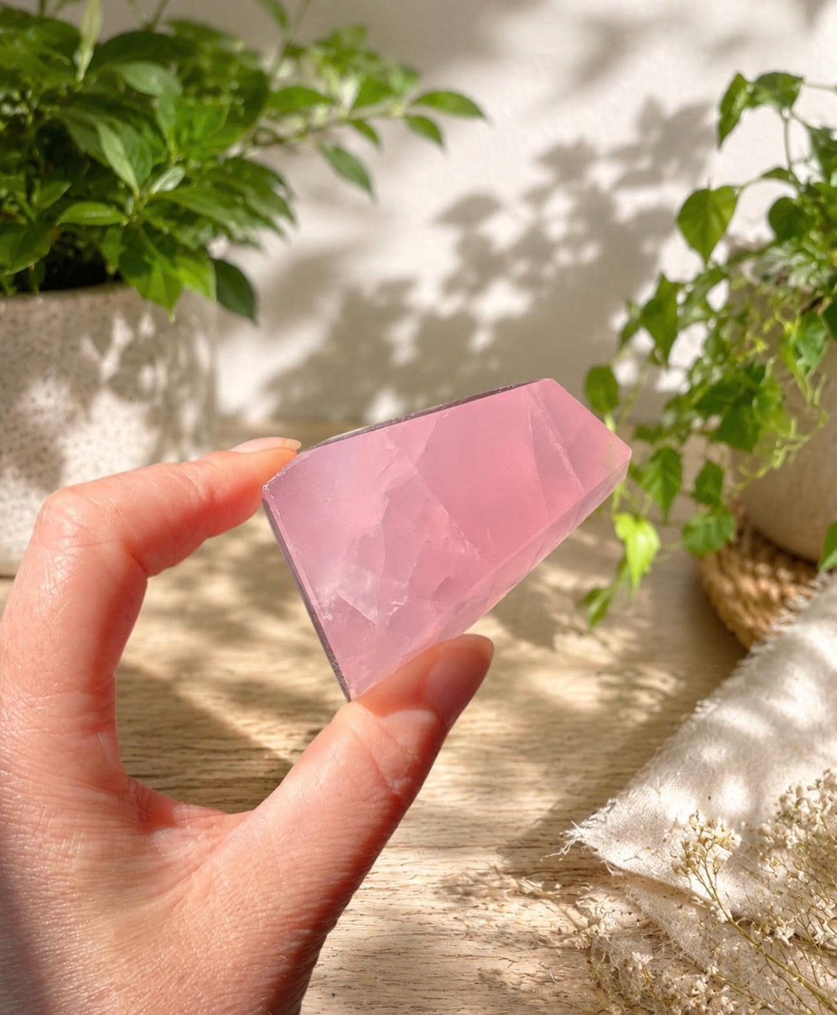 Rose Quartz Crystal Free Form – Love, Compassion & Self-Love | Natural Polished Crystal Display