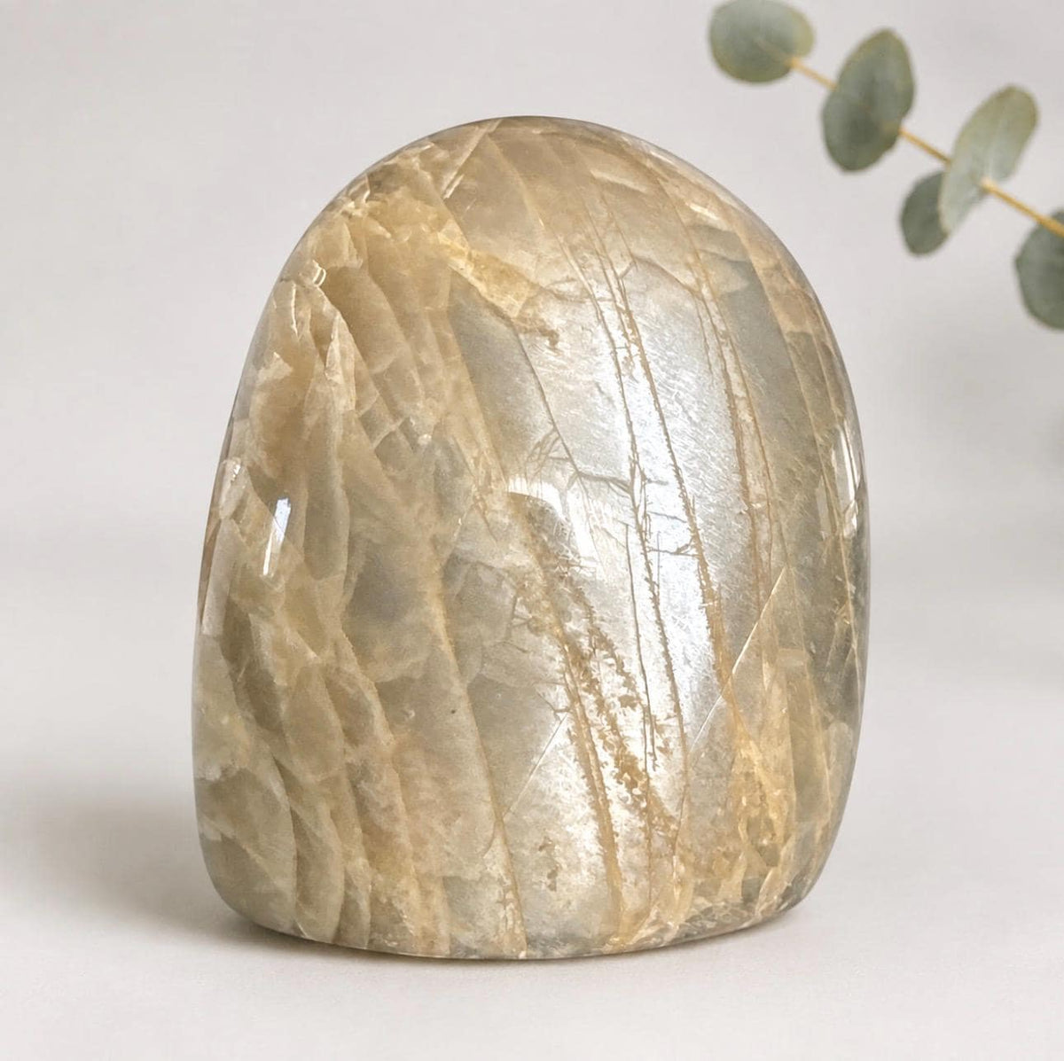 Moonstone Standing Free Form – Flashy Crystal Display | Intuition, New Beginnings & Moon Energy