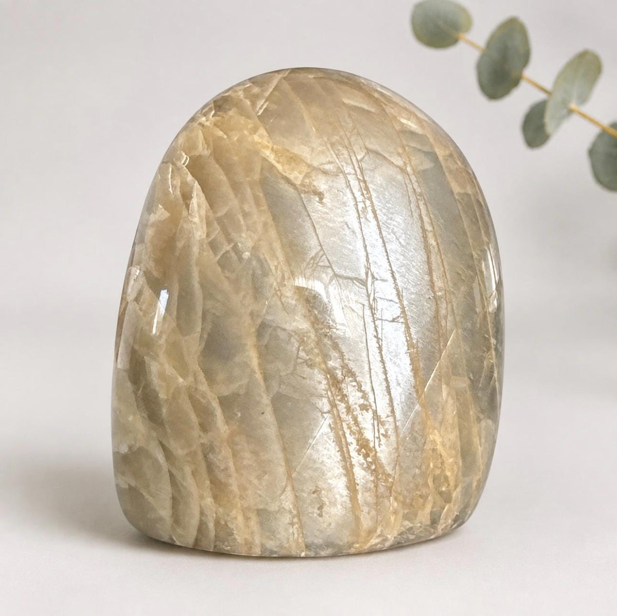 Moonstone Standing Free Form – Flashy Crystal Display | Intuition, New Beginnings & Moon Energy